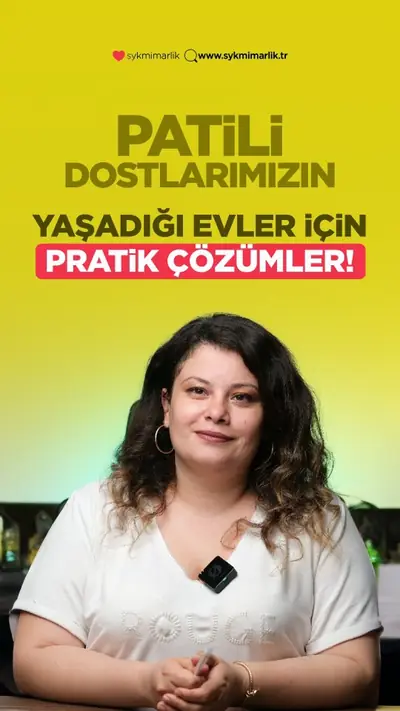 Evcil hayvanlı evler için dekorasyon ve kumaş seçimi
