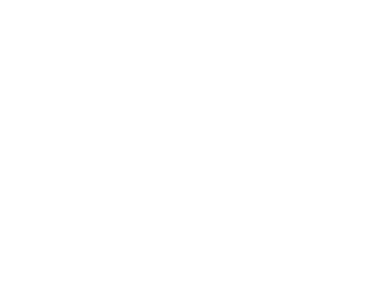 Şişecam