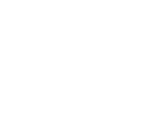 Viko